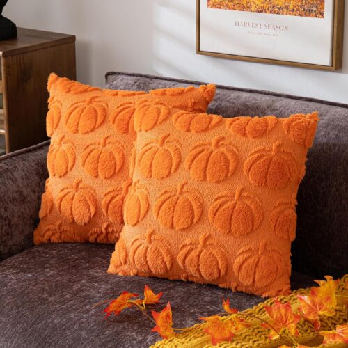 1 Pumpkin Fall Decorative Throw Pillow Covers