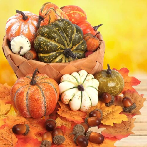 1 - Copy - Copy - Copy - Copy - Copy - Copy - Copy - Copy - Copy - Copy - Copy - Copy - Copy - Copy - Copy Maple Leaves for Halloween Fall