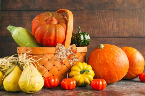 10 Yards Fall Wired Edge Ribbons for Thanksgiving 4