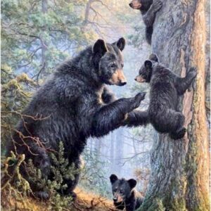 Diamond Painting Kits for Adults Bear Family