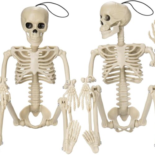 1 2 Pack Posable Halloween Skeleton