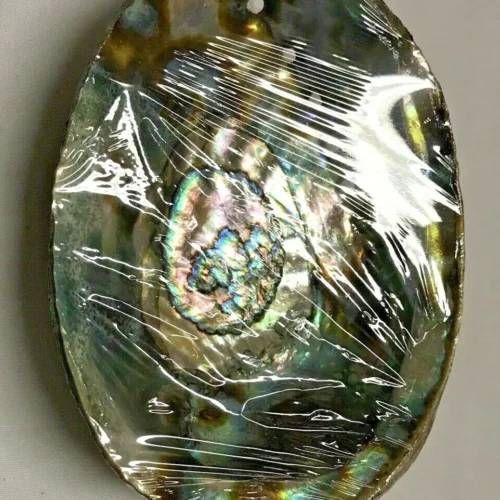 1 Large Natural Abalone Sea Shell For Smudging