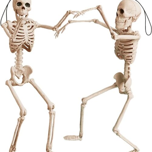 16 Inch Posable Skeletons for Haunted House Party Indoor Decorations