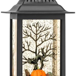Halloween Snow Globe Black Cat Lantern