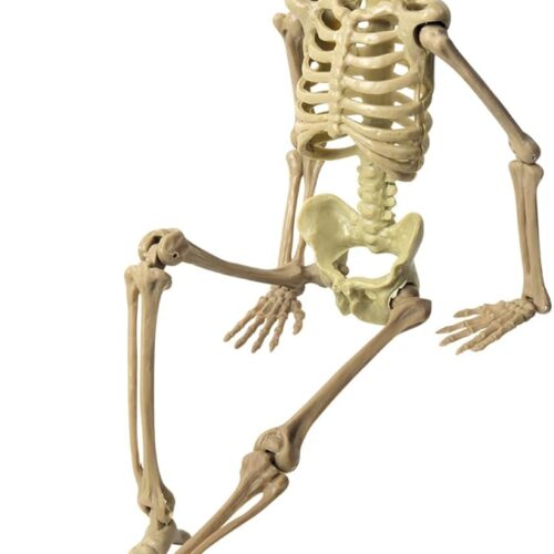1 16in Halloween Posable Skeleton Pumpkin Full Body Skeleton Decor with Movable Joints Spooky Hanging Ghost Skeleton for Yard Garden Lawn Haunted House Graveyard Props