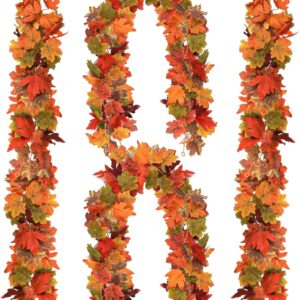 Thanksgiving Halloween Decor, 5.74Ft Each, Total 23ft