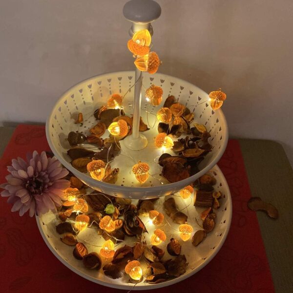 3D Twinkle Acorn Fall Decorations Harvest String Lights 4