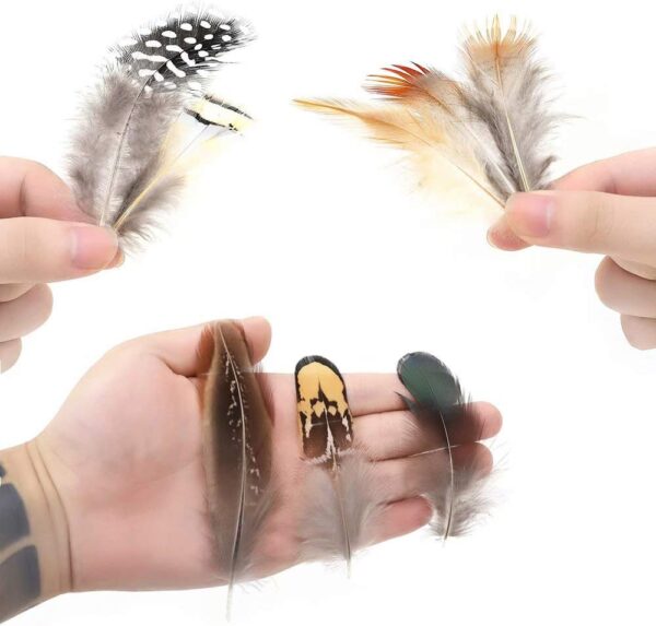 360pcs 12 Styled Natural Feathers Assorted Mixed Feathers 4