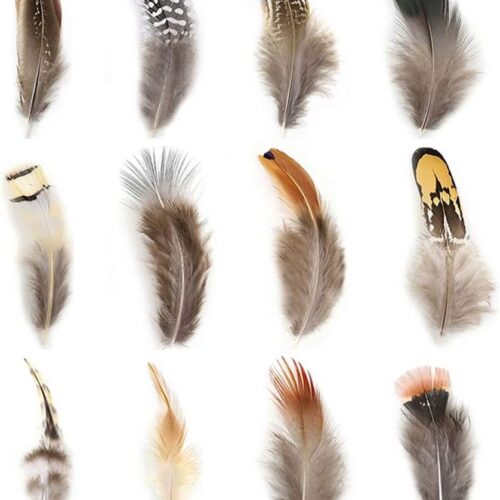 61UqbzXtSLL._AC_SL1000_ 360pcs 12 Styled Natural Feathers Assorted Mixed Feathers