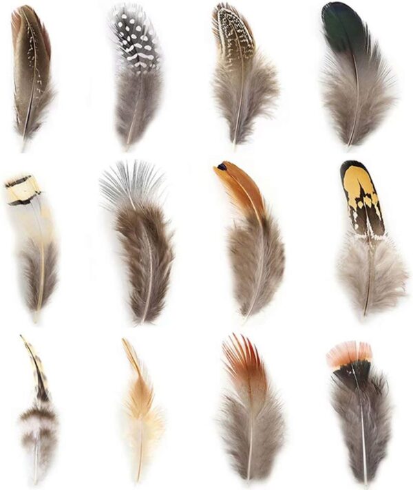 360pcs 12 Styled Natural Feathers Assorted Mixed Feathers 1