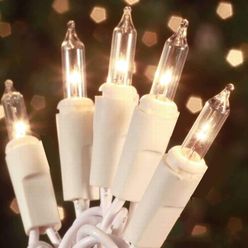 61waY2SyIOL._AC_SL1500_ Christmas Lights 100 Count Mini Clear Lights 21ft