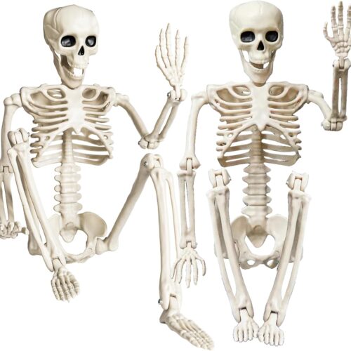 Halloween Skeleton Decorations