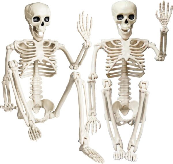 Halloween Skeleton Decorations 1