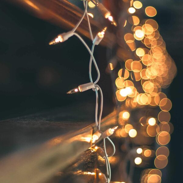 String Lights with 100 Clear Bulbs on White Wire 5