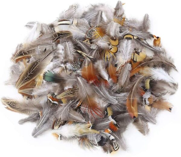 360pcs 12 Styled Natural Feathers Assorted Mixed Feathers 3