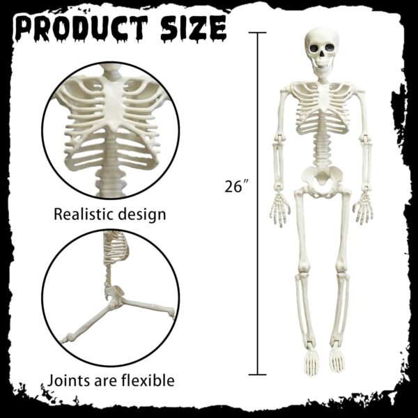 Halloween Skeleton Decorations 2