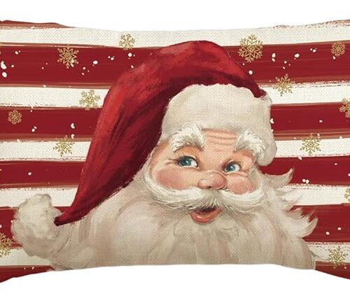 Colorlife Red Santa Claus Stripes Red Throw Pillow Cover