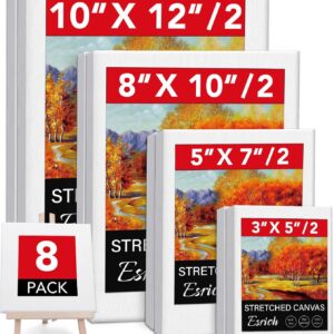 8PCS Multi Pack Canvas 3x5”, 5x7”, 8x10”, 10x12”(2 of Each) Stretched Canvases for Painting