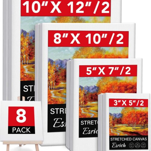 1 8PCS Multi Pack Canvas 3x5”, 5x7”, 8x10”, 10x12”(2 of Each) Stretched Canvases for Painting