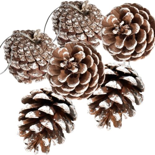 1 24 PCS Snowflake Natural Pinecones Ornament with String Pendant Crafts