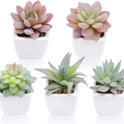 5pcs Artificial Succulent Plants Small Fake Desk Plants