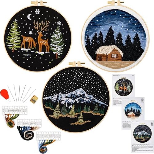 1 Embroidery Kit for Beginner Adults, Counted Stamped Cross Stitch kit for Adult Beginner