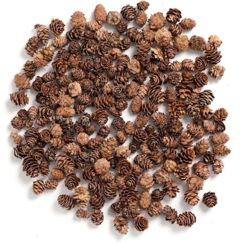 1 Pine Cones, Mini Pinecones in Bulk for Crafts, 8OZ, Pack of 110 (Natural)
