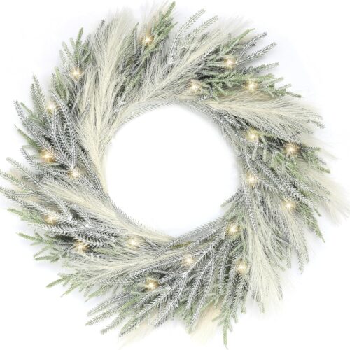 1 24'' Christmas Wreaths for Front Door with Lights (Pine and Pampas)