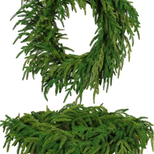 1 Real Touch Norfolk Pine Christmas Wreath 24IN
