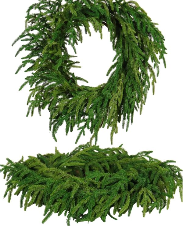 Real Touch Norfolk Pine Christmas Wreath 24IN 1