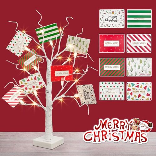 Money Tree Gift Holder, White Lighted Birch Tree Tabletop 2 FT 24 LED