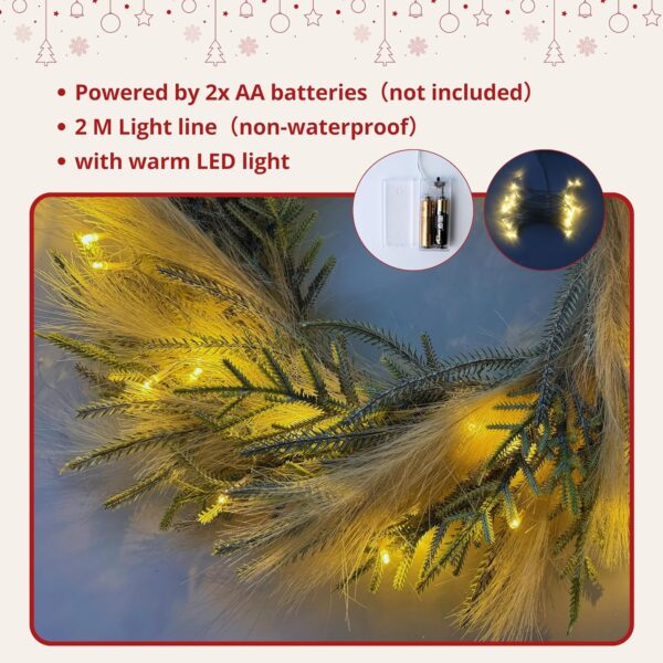 24'' Christmas Wreaths for Front Door with Lights (Pine and Pampas) 4