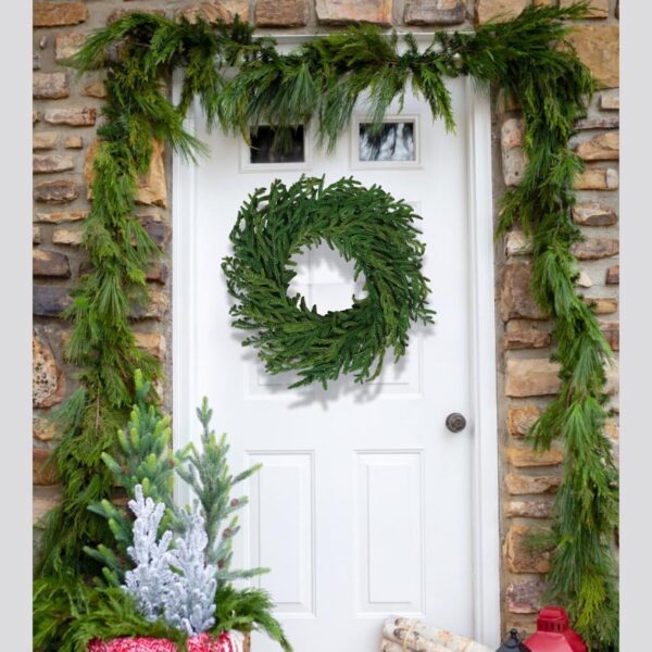Real Touch Norfolk Pine Christmas Wreath 24IN 2
