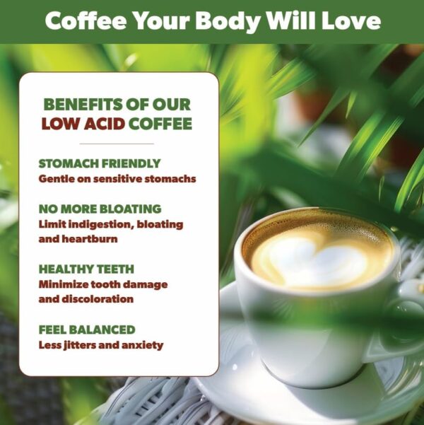 Low Acid Coffee, Organic Guatemala Single Origin: Whole Bean Medium Roast 3