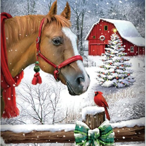7113IBponOL._AC_SL1500_ Christmas Diamond Painting Kits,Christmas Bird Horse 5D DIY Diamond Painting