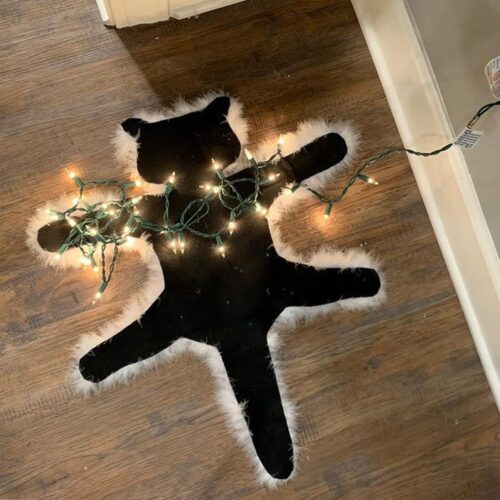 718aCIFNawL._AC_SL1500_ Light Up Fried Cat Rug Funny Christmas Lights Decoration Floor