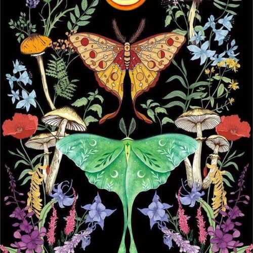 71i-gMYUT0L._AC_ Diamond Painting for Adult Beginner, Butterfly Mushroom Diamond Art Kits