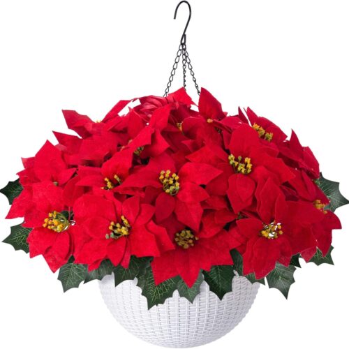 71lGyuTJDIL._AC_SL1500_ Artificial Fake Poinsettia Flowers Plants Hanging Basket for Christmas New Years Decoration