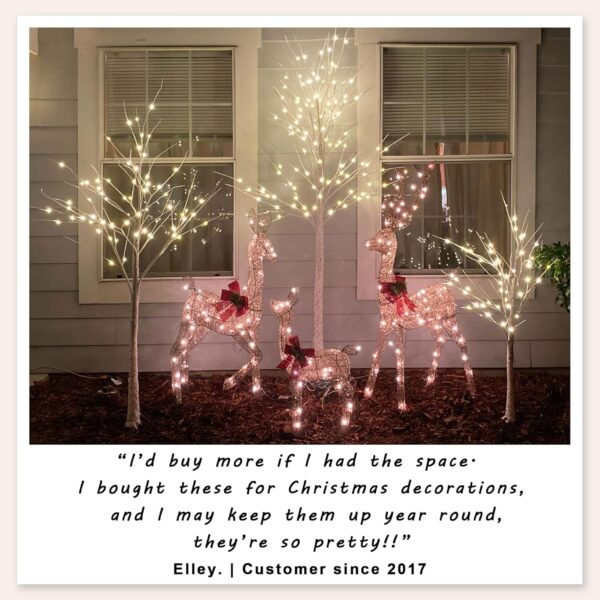 Set of 3 Lighted Birch Tree 4FT 6FT and 8FT LED Artificial Tree for Decoration Inside and Outside 4