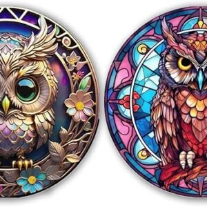 5D DIY Full Drill Round Art Gems Owl Art