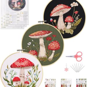 3 Sets Embroidery Kit for Beginners