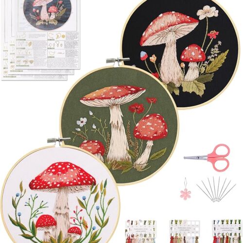 1 3 Sets Embroidery Kit for Beginners