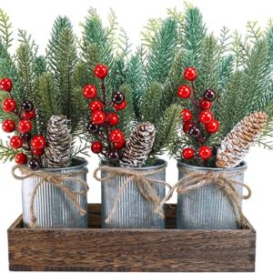 Christmas Farmhouse Centerpiece Rustic Wood Tray 3 Galvanized Pots