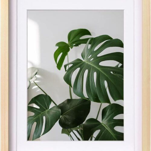 12x16 Picture Frame Natural Wood with Plexiglass Made of Solid 9x12/11x14 with Mat or 12x16 Without Mat