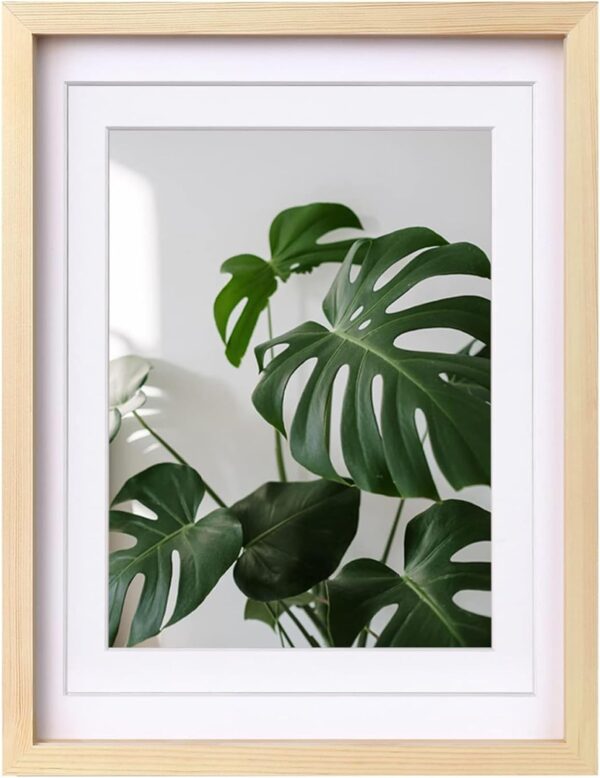 12x16 Picture Frame Natural Wood with Plexiglass Made of Solid 9x12/11x14 with Mat or 12x16 Without Mat 1