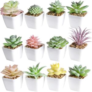 Artificial Faux Succulents in Pots Fake Plants Ceramic Arrangement  12 Set