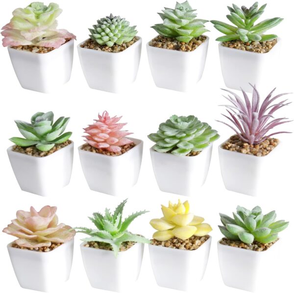 Artificial Faux Succulents in Pots Fake Plants Ceramic Arrangement 12 Set 1