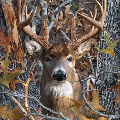 1 Deer Diamond Art Painting Kits 5D Diamond Full Drill, 12x16