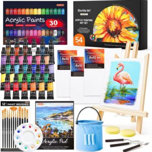 54 Pack Acrylic Paint Set, Acrylic Painting Set with 30 Colors Acrylic Paint, Wooden Easel, Painting Canvas, Paint Brushes, Palette