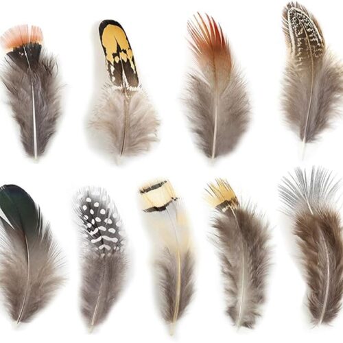 1 Assorted Mixed Feathers for Jewelry